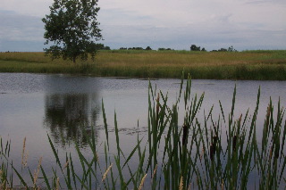 Lake Joe