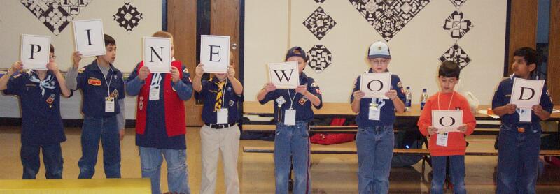 Pinewood Scouts